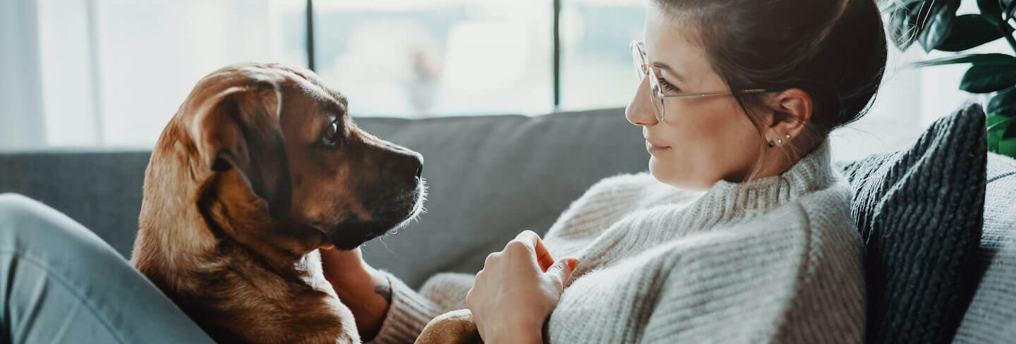 Supportare il sistema immunitario di cani e gatti
