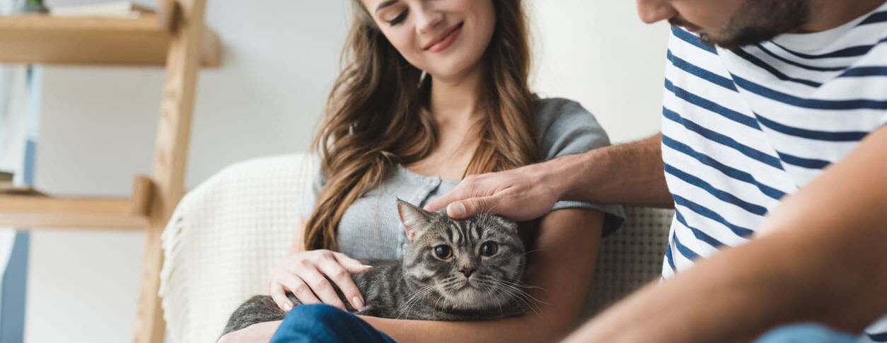 Quanto vive un gatto? Quali sono i fattori che influiscono sulla vita media del nostro felino?