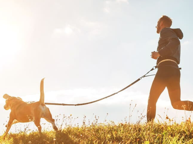 Canicross: entrena y fortalece la relaci&oacute;n con tu perro