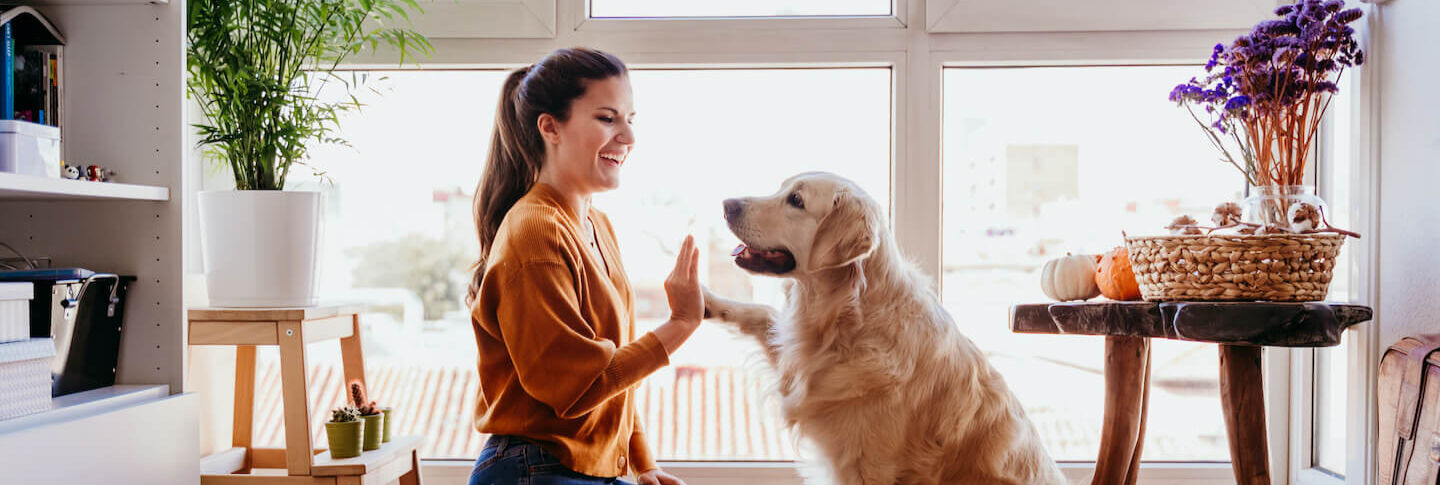Cosa ti dice il tuo cane?