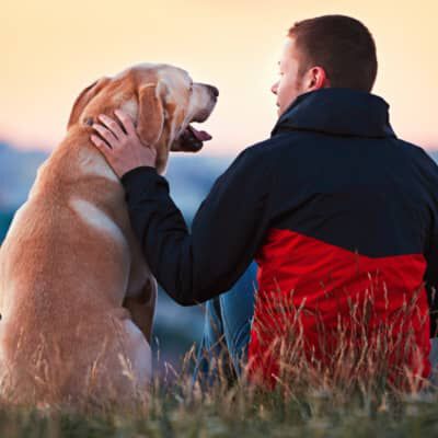 Image Link For COME DIMOSTRARE AFFETTO AI CANI