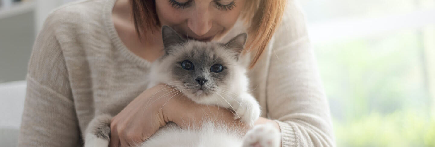 Come interpretare il comportamento del gatto