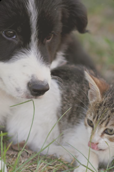 Home banner desktop.png