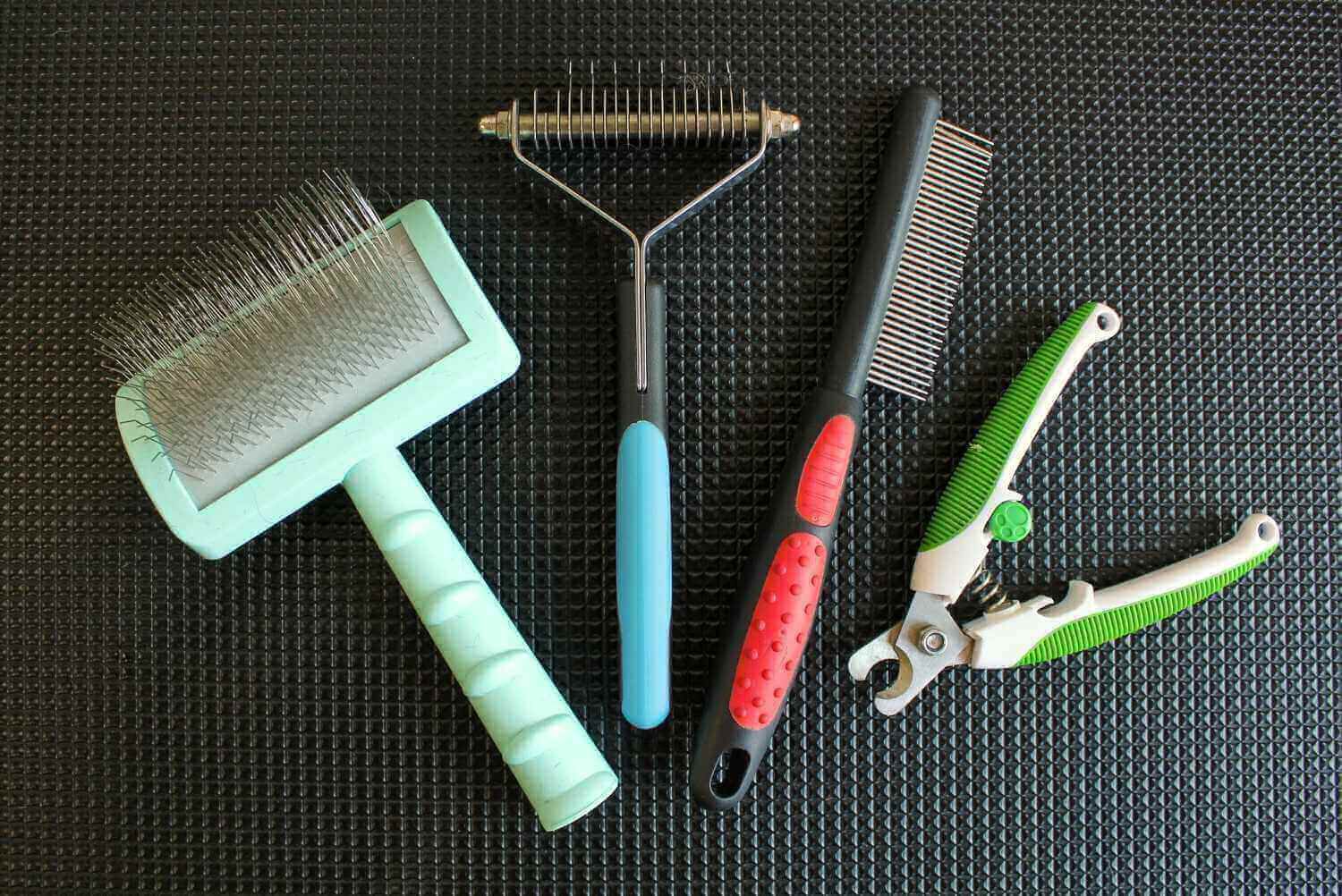 COME E PERCH&Eacute; TOELETTARE UN GATTO