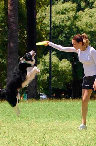 Image Link For Divertirse juntos