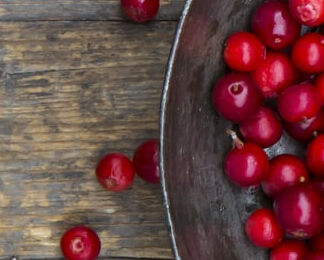 Image Link For Cranberry: an ingredient with a story to tell 