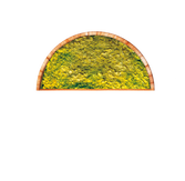 Nucleotides from yeast