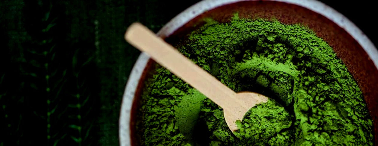 Spirulina. A super-nutrient for dogs