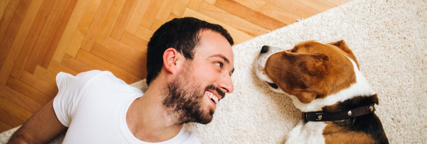 I 15 migliori cani da appartamento