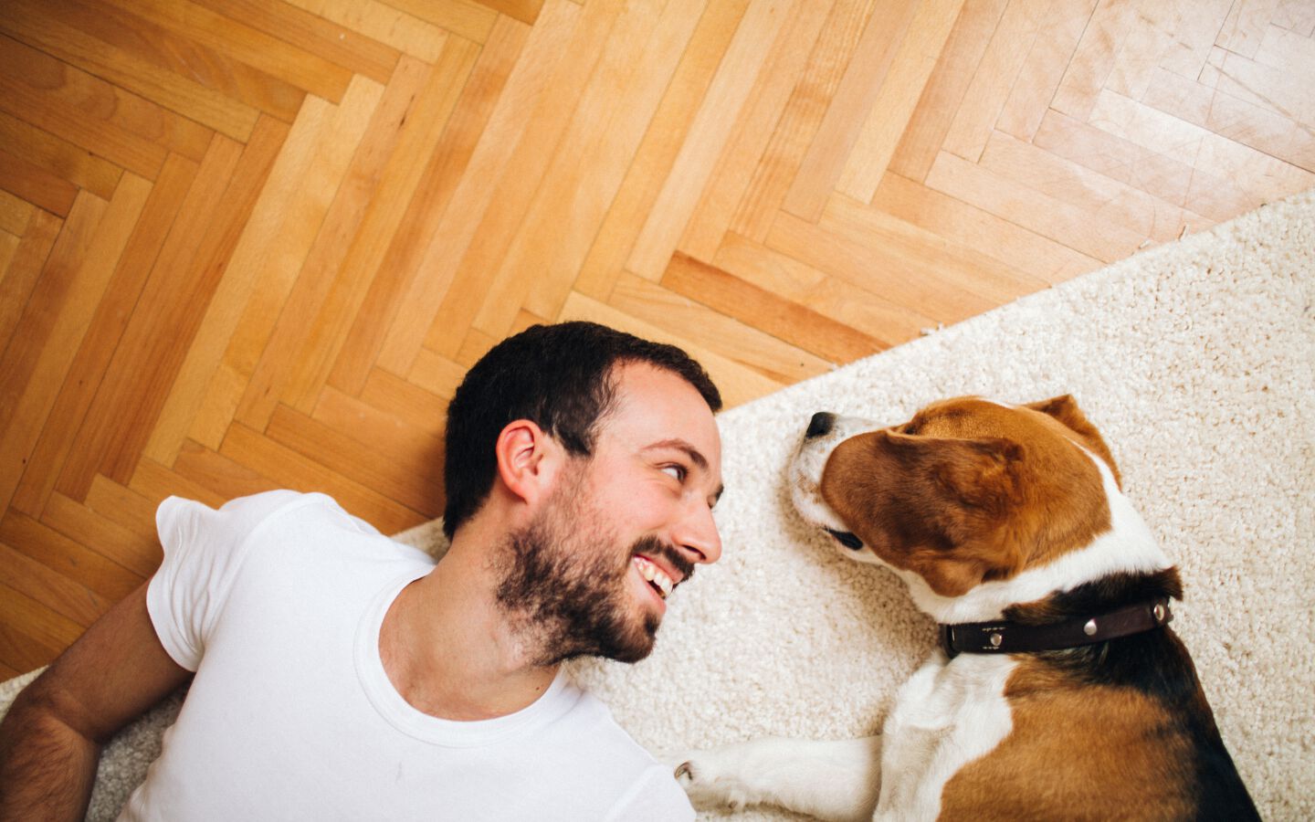 I 15 migliori cani da appartamento