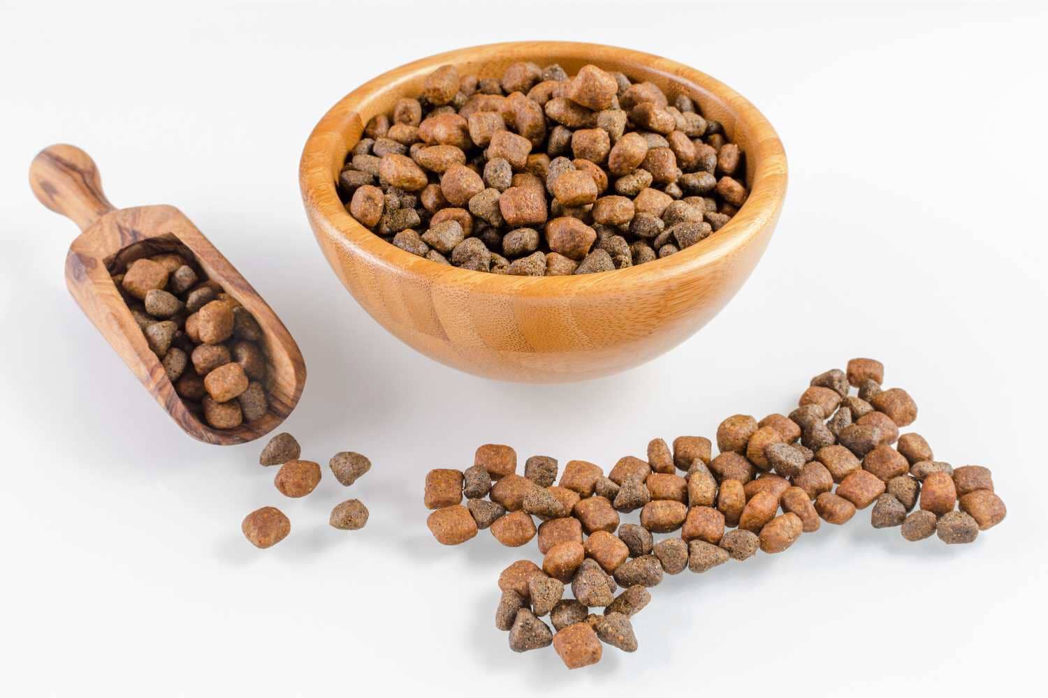 I CANI POSSONO MANGIARE LE UOVA?&nbsp;