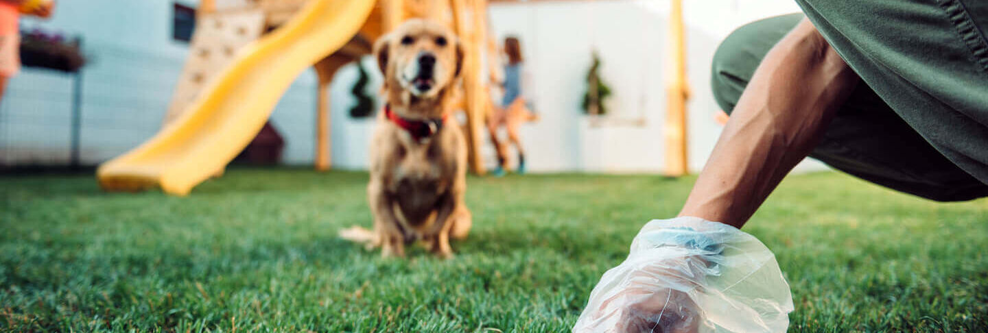 Come insegnare al cane a fare i bisogni fuori