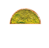 Nucleotides from yeast