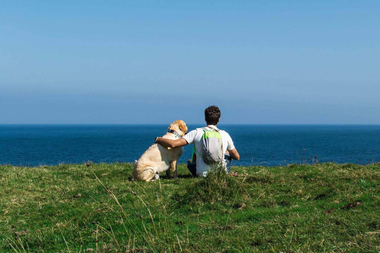 Travelling with your dog