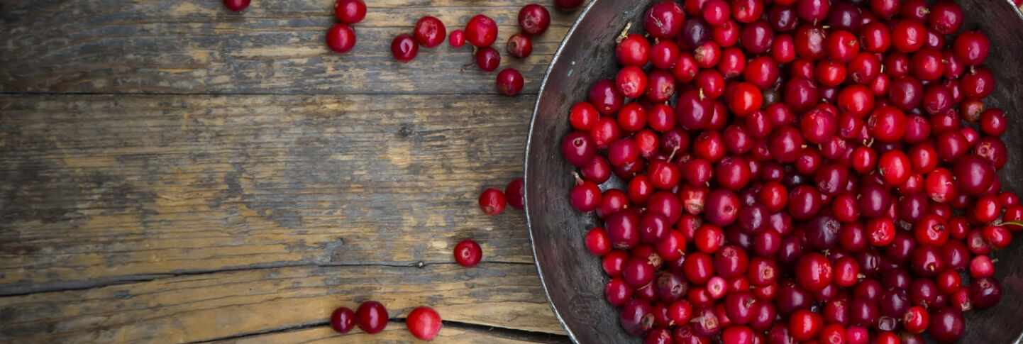 Cranberry: an ingredient with a story to tell 