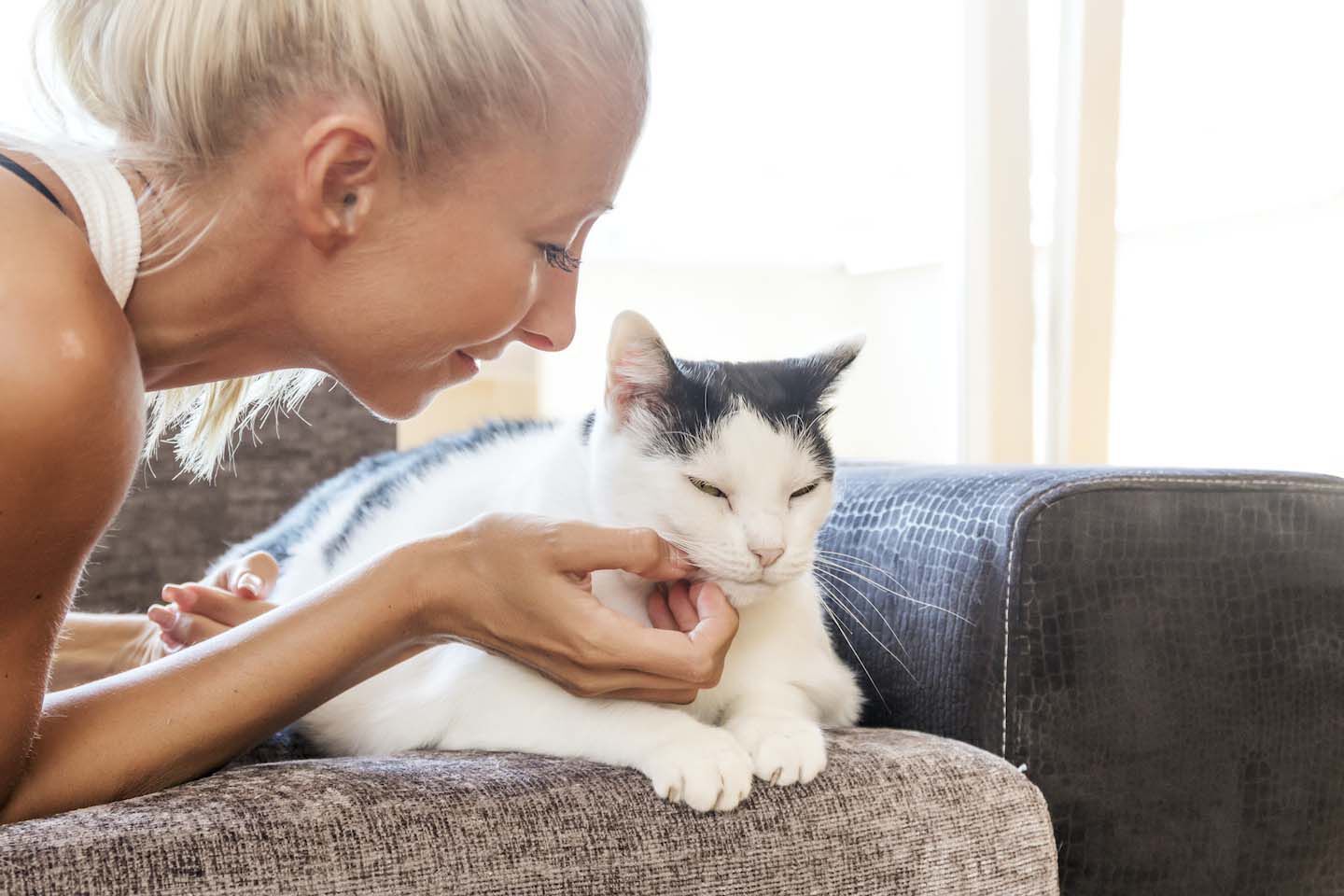 &iquest;Cu&aacute;les son los beneficios de tener un gato?