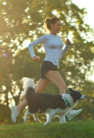 Image Link For Naturalmente Activos - Perro