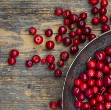 Image Link For El ar&aacute;ndano rojo: un ingrediente con una historia para conocer