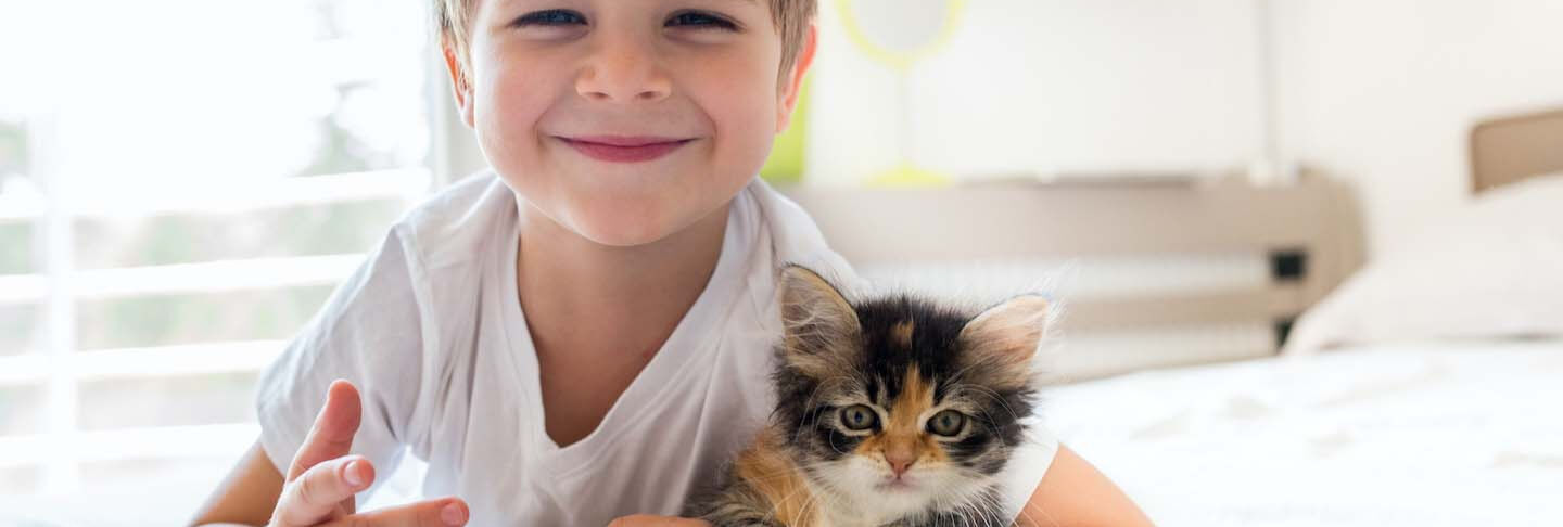 Cuidado del gato reci&eacute;n nacido: del nacimiento al primer a&ntilde;o