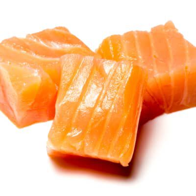 CIBO MONOPROTEICO PER CANI: QUANDO E PERCH&Eacute; SCEGLIERLO?