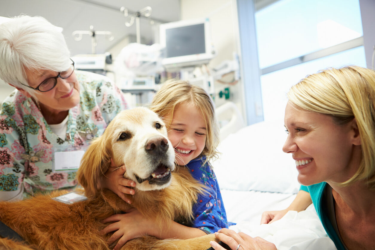 I "cani eroi" di Natural Trainer Italia migliorano la vita delle persone
