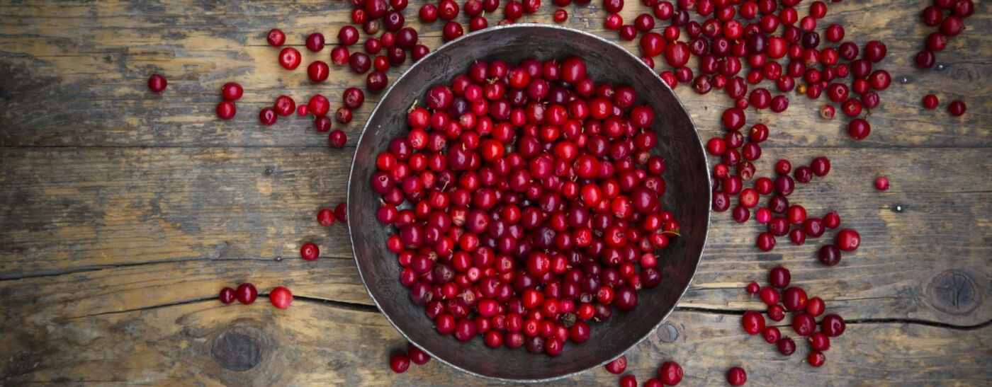 El ar&aacute;ndano rojo: un ingrediente con una historia para conocer