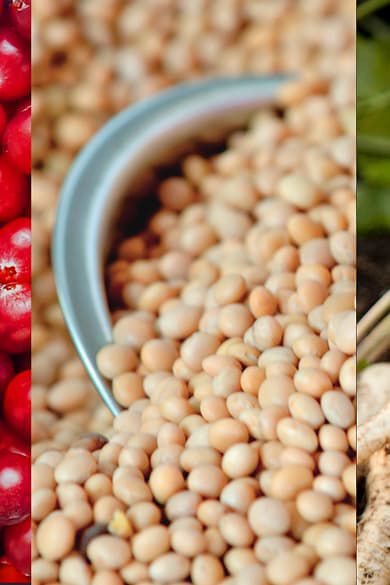 NT Ingredientes gato Header desktop.jpg
