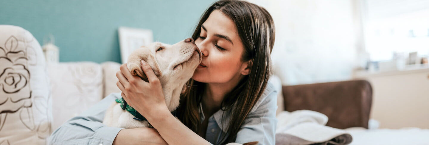 Come capire il comportamento del cane