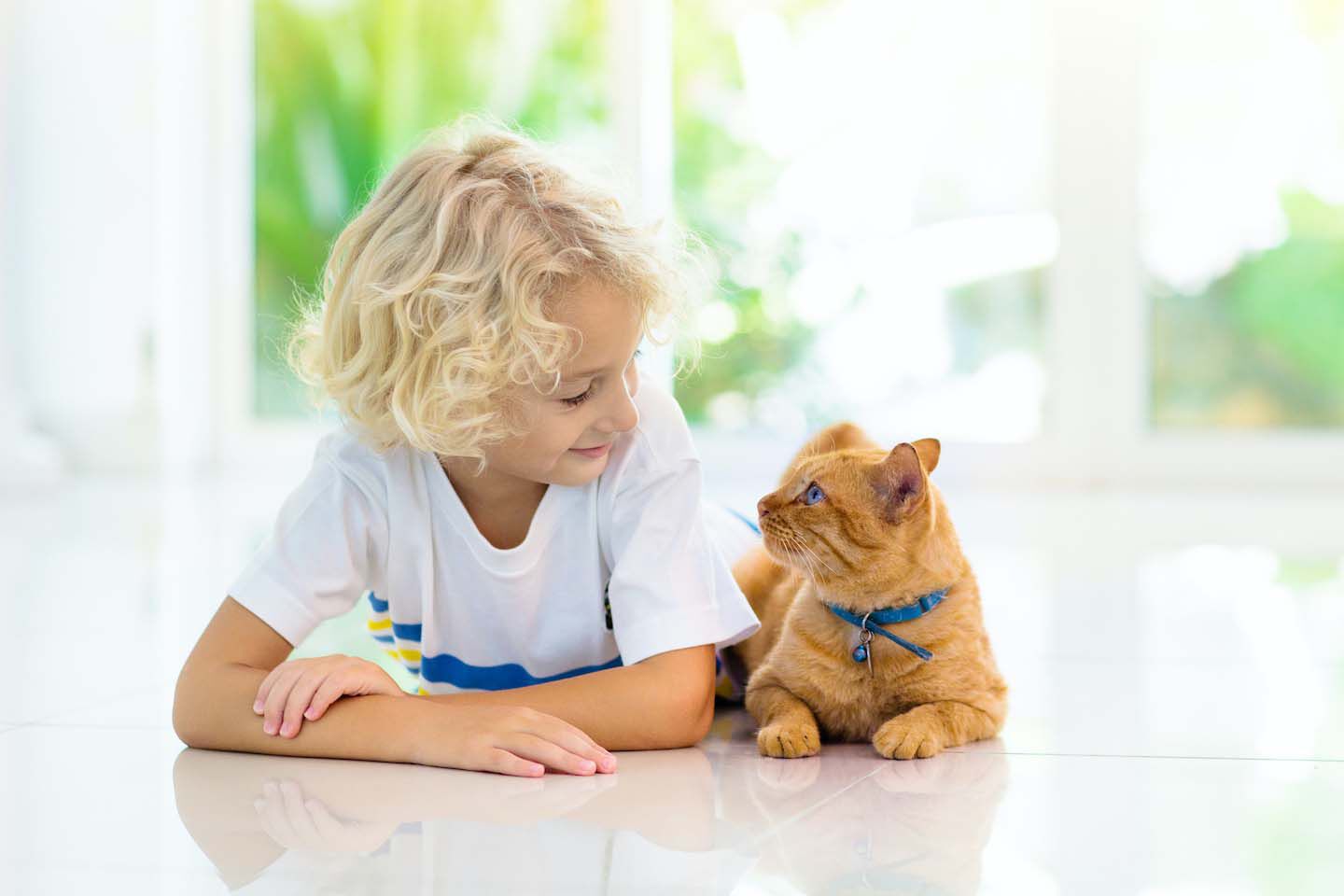 Gatos y ni&ntilde;os: las reglas de una convivencia perfecta