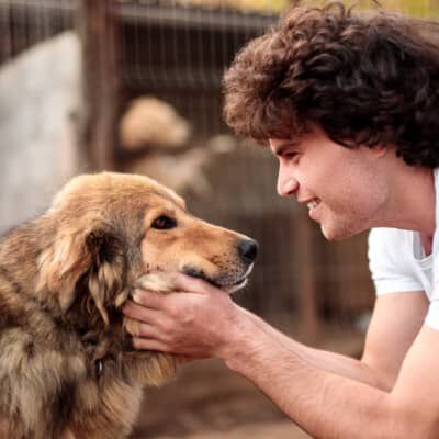 Image Link For ADOTTARE UN CANE: COSA BISOGNA SAPERE