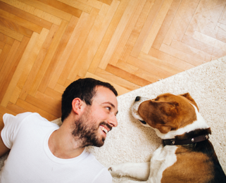 Image Link For I 15 migliori cani da appartamento