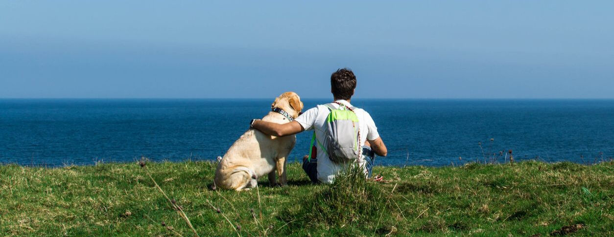 Travelling with your dog