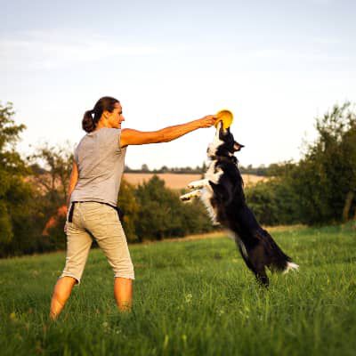 Cosa fare se hai un cane iperattivo 