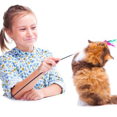 Giochi per gatti fai da te