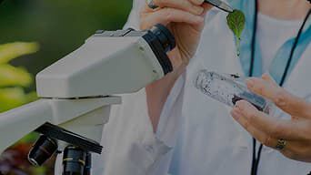 NT Home perro banner 1 desktop.jpg