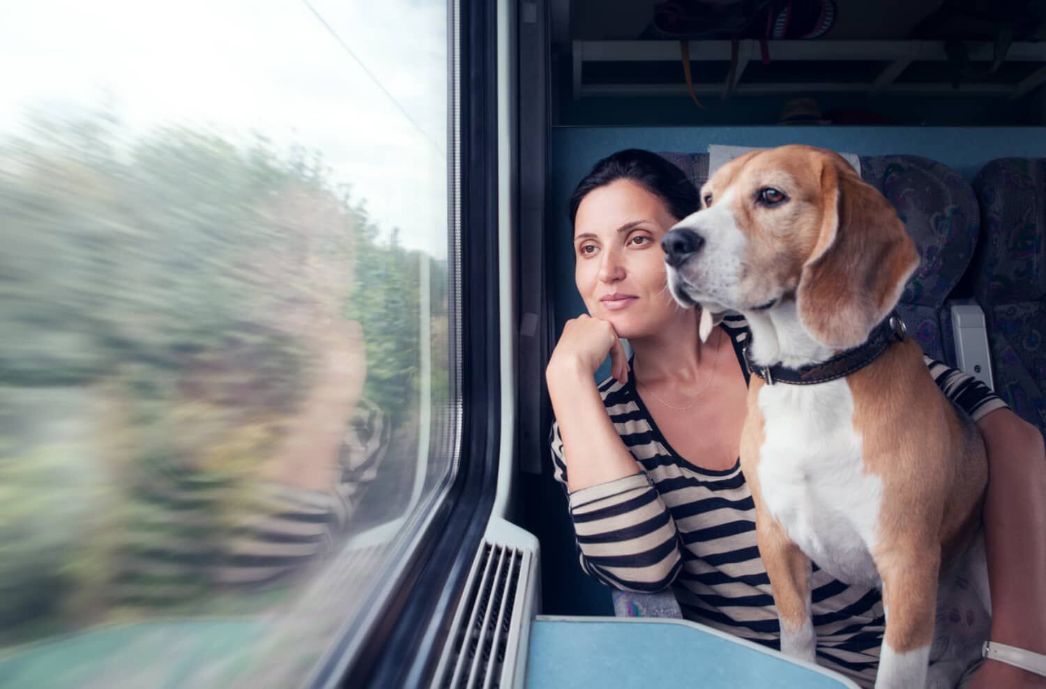 Regole e consigli per viaggiare in treno con il tuo cane