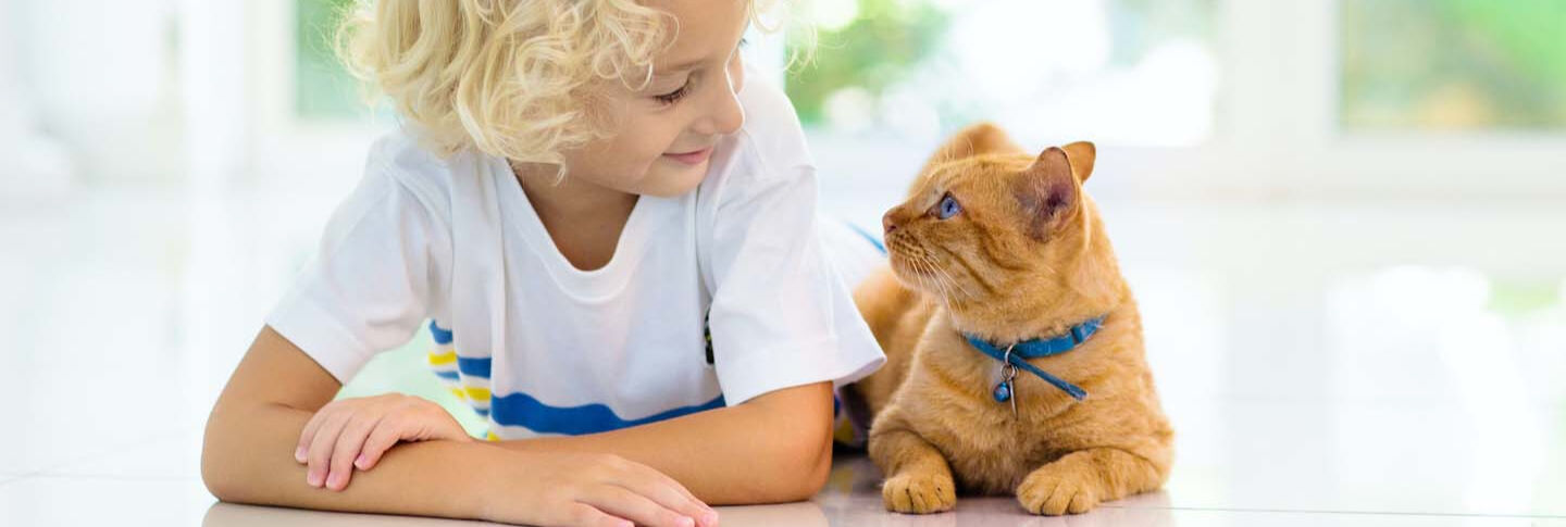 Gatti e bambini: le regole per una convivenza perfetta