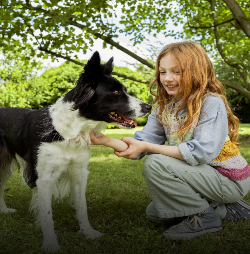 banner Bocconcini + shadow resized2.jpg