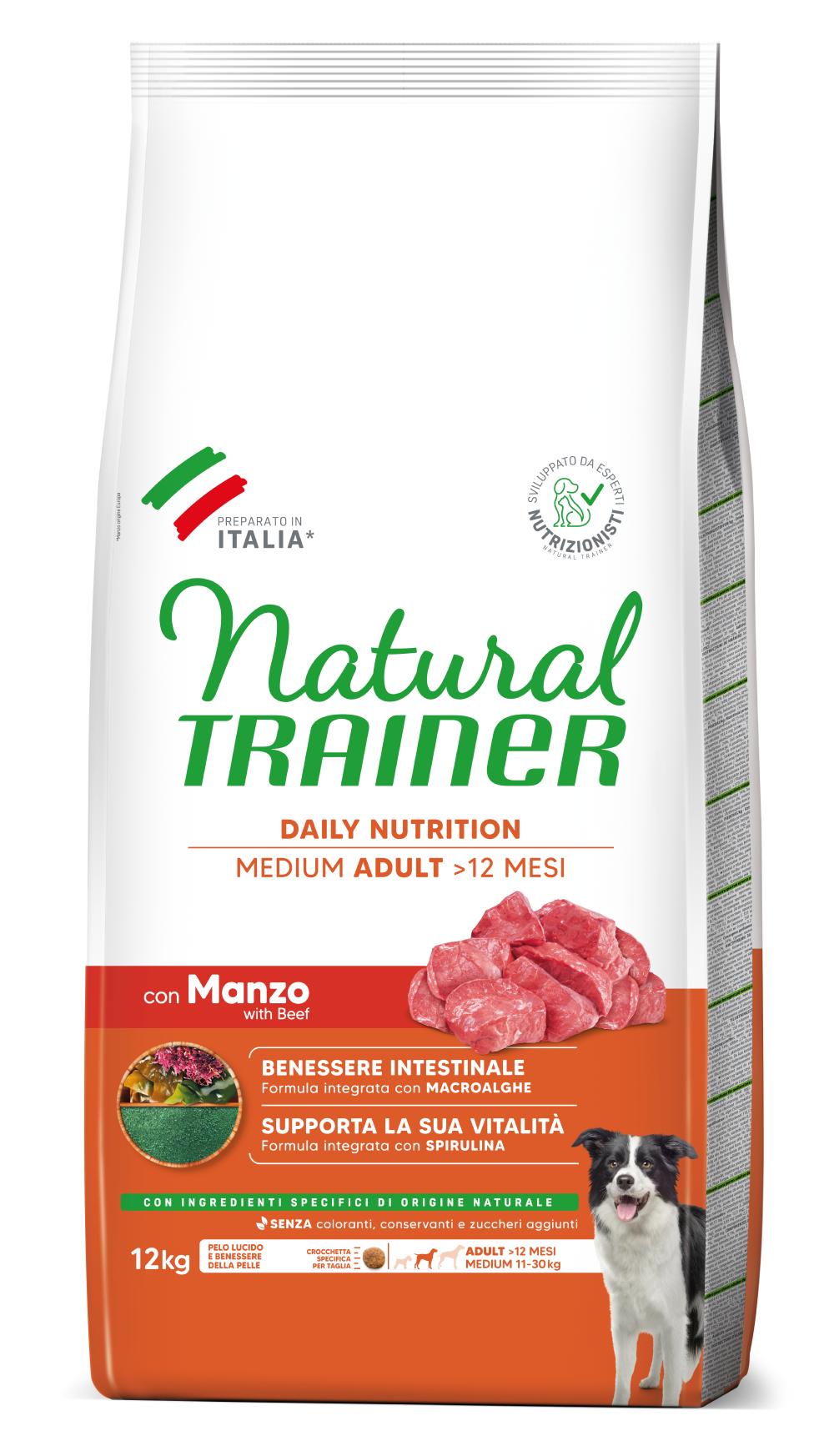 DAILY NUTRITION MEDIUM ADULT CON BUEY