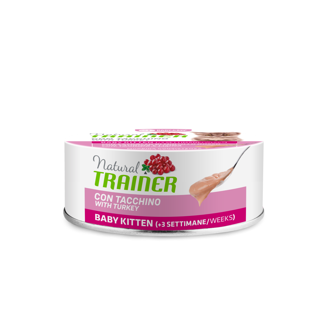 BABY KITTEN TURKEY WET