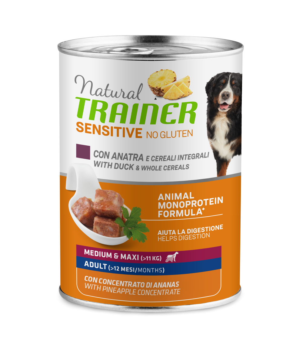 NO GLUTEN M&M ADULT DUCK WET