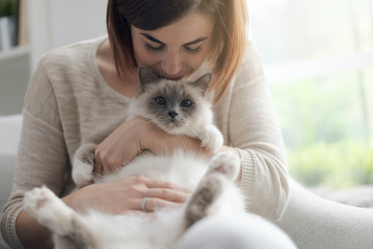 Come interpretare il comportamento del gatto