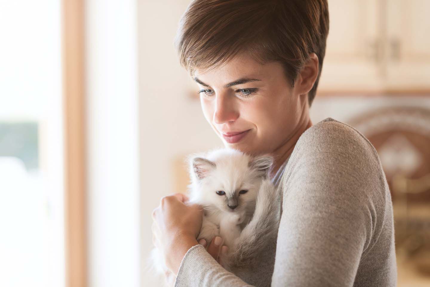 Come educare un gatto