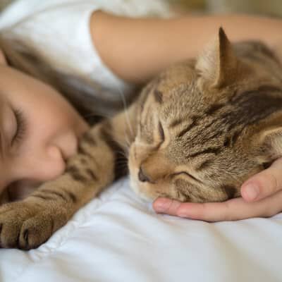 Image Link For Cosa succede se dormo con il gatto?