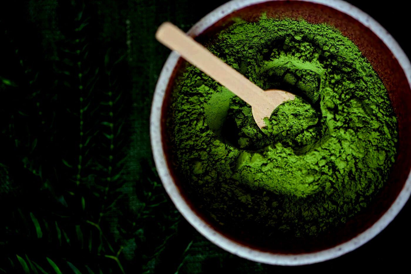 Spirulina. A super-nutrient for dogs