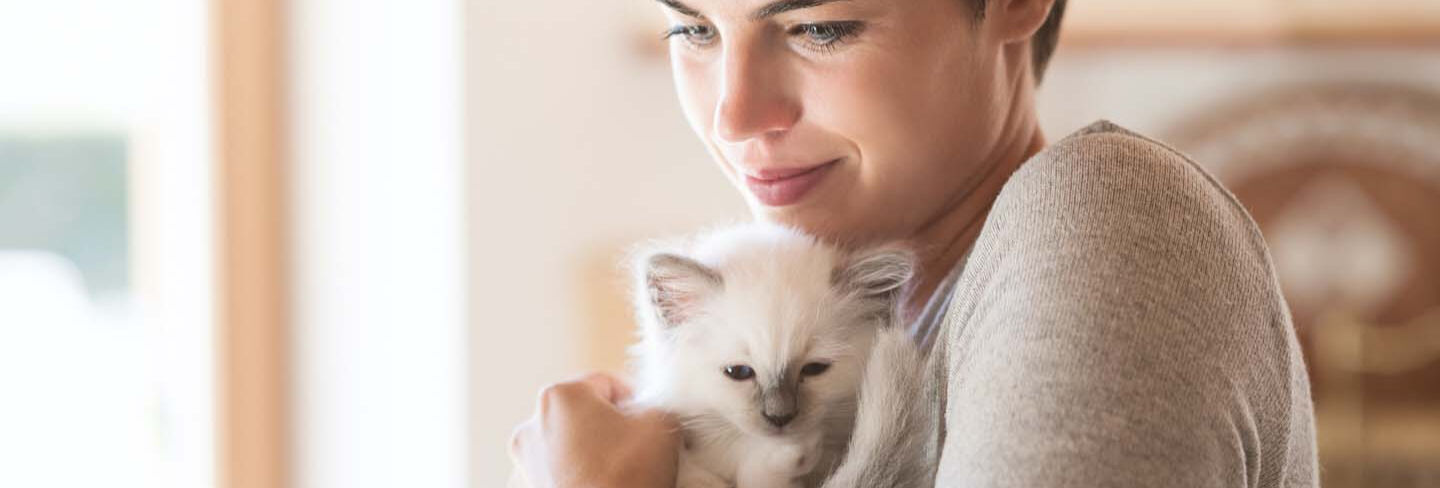 Un nuevo amigo en casa: c&oacute;mo educar a un gato