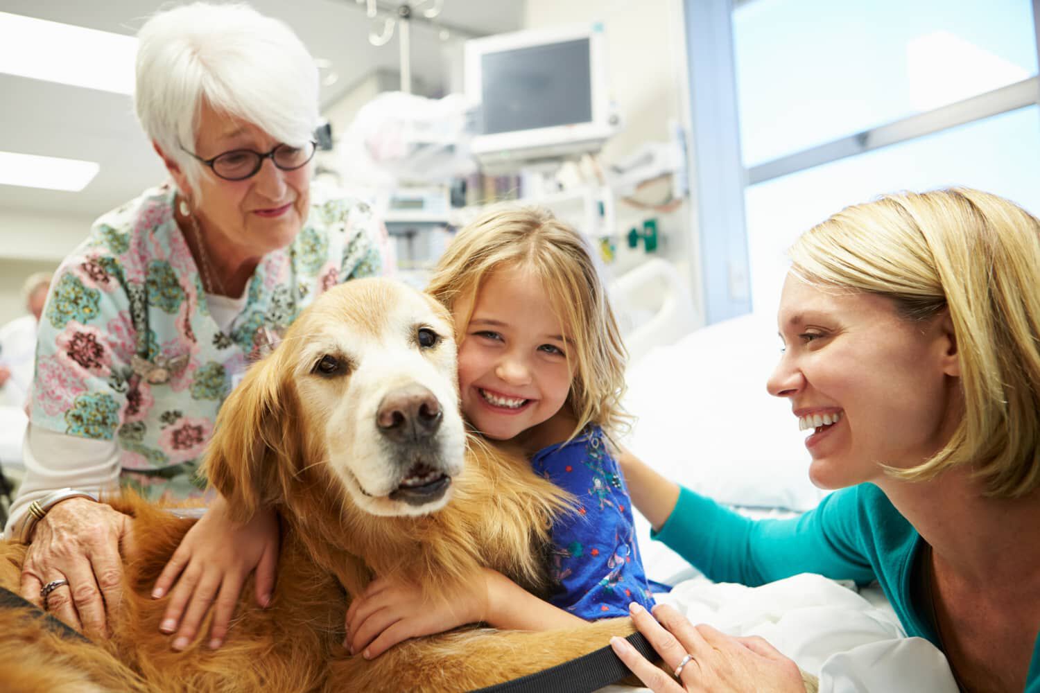 La pet therapy con i cani: razze maggiormente utilizzate, benefici e a chi &egrave; diretta