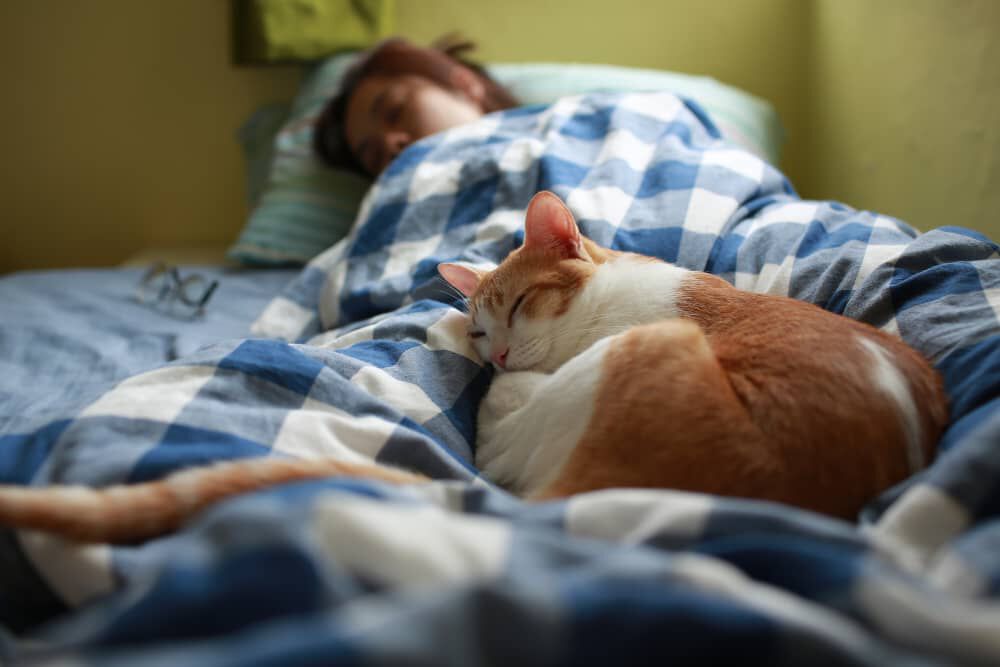 Cosa succede se dormo con il gatto?