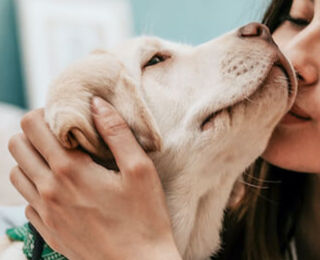 Image Link For Come capire il comportamento del cane