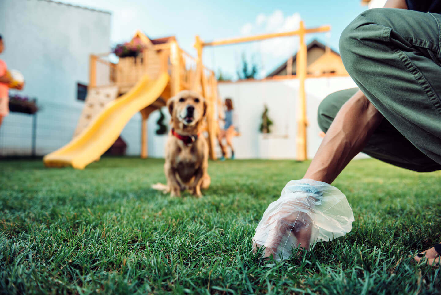 Come insegnare al cane a fare i bisogni fuori